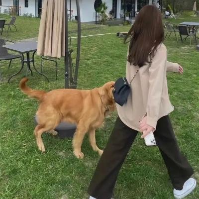 人类之巅